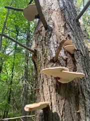 447664022 10163341586967542 3002152057426307318 n 17900277872919557