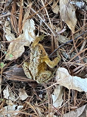 440377529 10163262757192542 1800973295484740389 n 18041582122678034