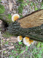 441242429 10163289825957542 5031518275090168478 n 17929339400776290