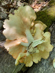 441504496 10163298064657542 8261290834092628673 n 18020293946244738