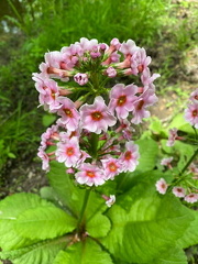 441657825 10163298058122542 7165136905148720330 n 18036033790779407