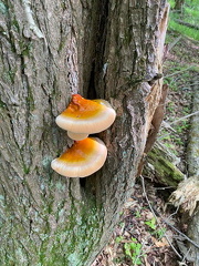 442496863 10163289826057542 688629514248969260 n 18143359483320251