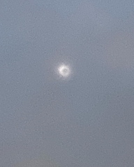 436838599 2398713453660493 784014084202976451 n 18039742945746301