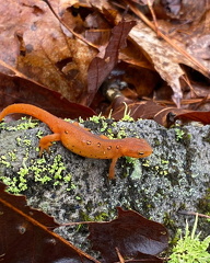 439393643 411837378375082 4174831509079225235 n 18429239647005163