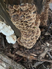 379511368 10162785458192542 4571794089769364893 n 17884882127860699