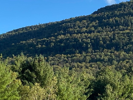 379607859 10162785451907542 8292428921959725389 n 18010256836765254