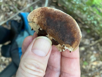 379621824 10162785451817542 1735684374056322560 n 18299079730187229