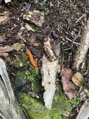 385031331 10162823179192542 4213289957368917730 n 17924602187783790