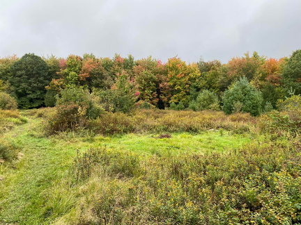 385441000 10162823179387542 7543930579407281194 n 17953421381667892