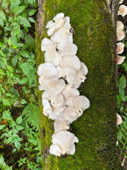 385458061 10162823179167542 7530875272953714314 n 18237492292215933