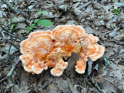 385458380 10162823179597542 4495786528751920056 n 17850940185035676