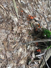 363039181 10162678506977542 3409775039169178490 n 17999566720859416