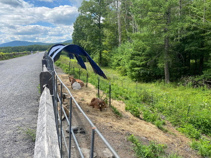 365044028 10162678506857542 1600478679904061892 n 18003595501900693