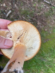 365160567 10162678506812542 7840042565965581058 n 18015233155687838