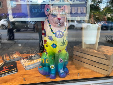 365219605 10162678507002542 5653179758667495482 n 17967965210593126