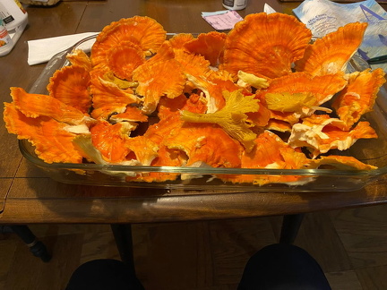 365774611 10162713528922542 4368368281374386315 n 18008962429856060