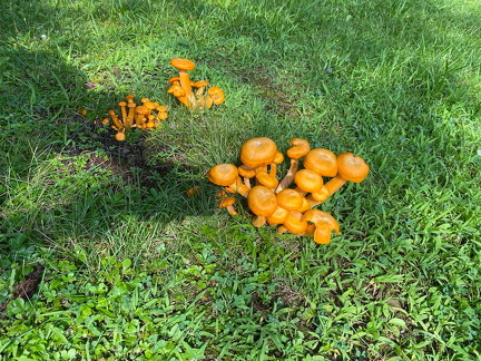 365777439 10162713529842542 4511946648903879660 n 18017249875682040