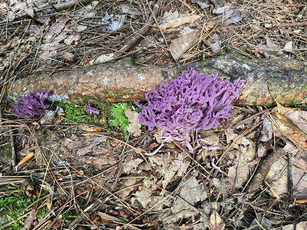 365808645 10162713528882542 7067974345660841276 n 18010604836729064