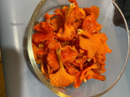 365927863 621244753410342 1946873924435498873 n 17976707624422268