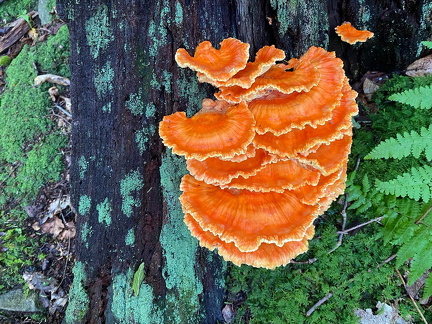 366010802 10162713529567542 1315021716856647747 n 17989849400236411