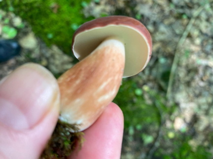 347416718 10162611452277542 6719798820639765701 n 18016682431653483