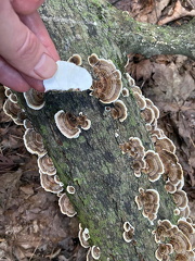 356204638 10162643606492542 2934369233629937467 n 17987129777497898