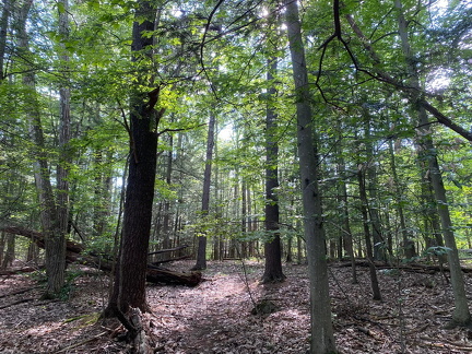 356249255 10162648345452542 1333535228787945994 n 18290908090185436