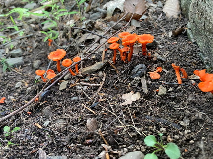 356415972 10162648344902542 3941586356099710180 n 17965035071402757