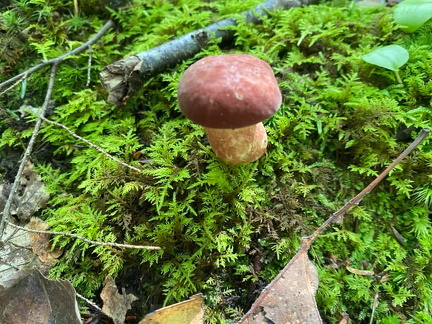 358148235 10162611446227542 3323443694116118712 n 17940148037580932