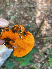 359785991 10162630239832542 2640969221293396868 n 18002536135919013