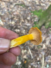 361592382 10162643605362542 2824649717589509643 n 18003353467924188