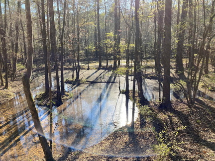 332135916 1156155155046416 5815256612295238026 n 18072889108355048