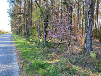 332187719 1302477177032155 407450647198130701 n 18210605245230565