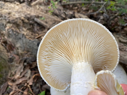 332263669 518294440484807 7921525119609649121 n 17946445940572220