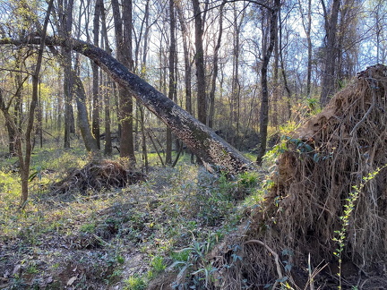 332872874 117397297848205 416079719524836855 n 17945007248604513