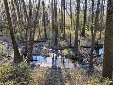 333037542 586522806475035 1263456400923532151 n 17858638898911563