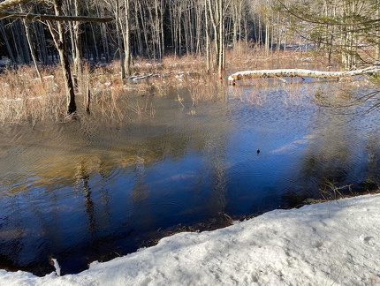 335892655 594342005950522 3669642544653762260 n 17978147704917420