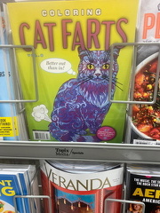 330308287 651782100287761 4425666986270291169 n 18032167867449147