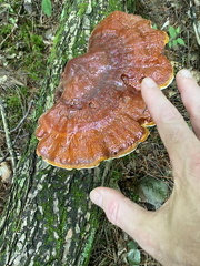 290250562 3344452245785097 6234371007879799774 n 17967354280662247