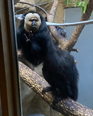 273227476 254617040029394 2134583025499745527 n 17890347878569270