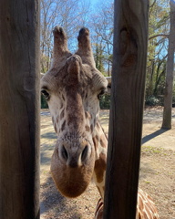 273239319 2698040417009281 8254446742528050738 n 17921099888307565