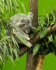 273261326 524594612173384 6542283181096354711 n 18279988384056180