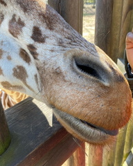 273360666 520480729286091 2143366004375320679 n 17954245801586391