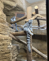 273365088 142931348144046 636521649065678673 n 17933195227952001