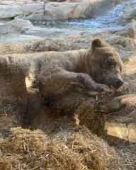 273436438 272318978319030 3391498307483966475 n 17963671693513030