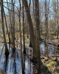 274747581 1741138522884515 3320924735284830248 n 17947382131774920