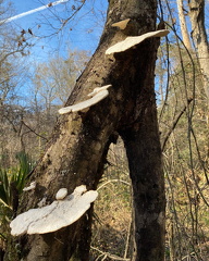 274787765 477095857230059 5550204624350757428 n 17967211531541356