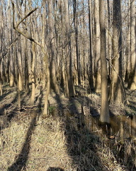 274795513 684397312576184 2667611023309792993 n 17901655985427710