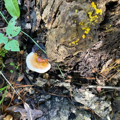 244472480 1048444465899708 340041210373884172 n 17915384170920702