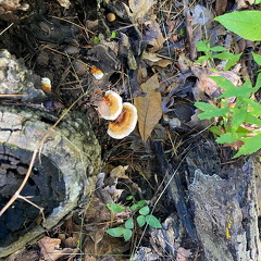 244505763 850592995820424 3111310031730703057 n 17870226521599771